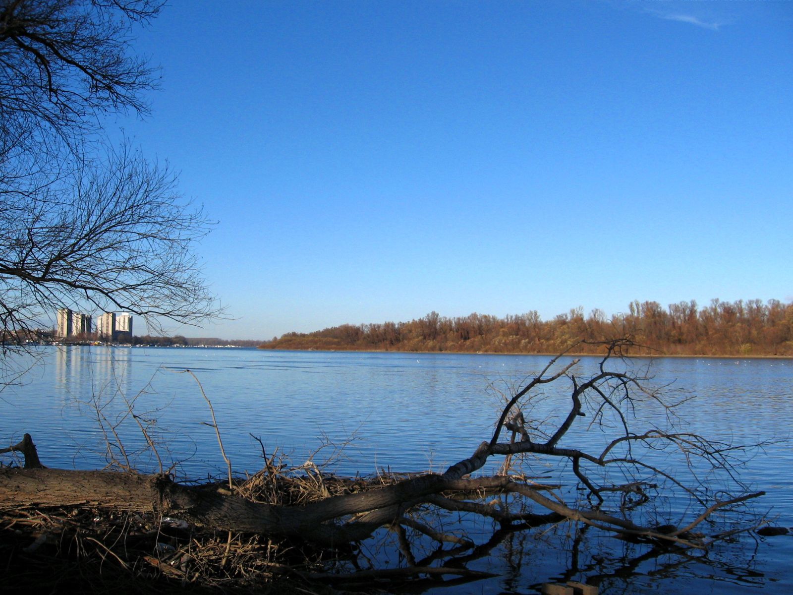 Belgrade Dunav